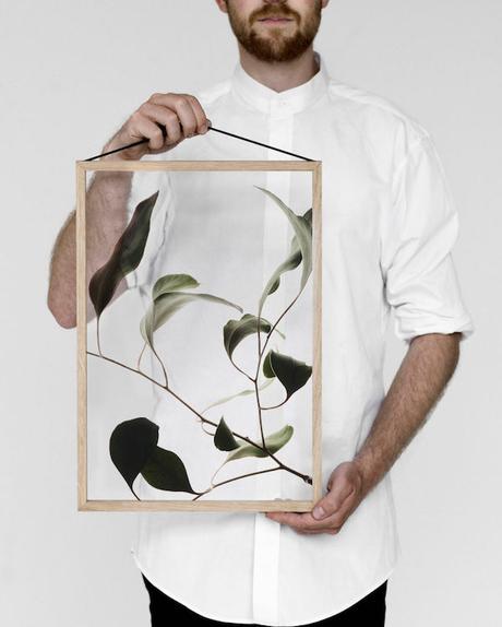 GREEN : Ethereal Floating Leaves Project floating-leaves-by-moebe-6