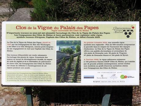 Di nouvello de la vigno dóu papo 3426986857.jpg