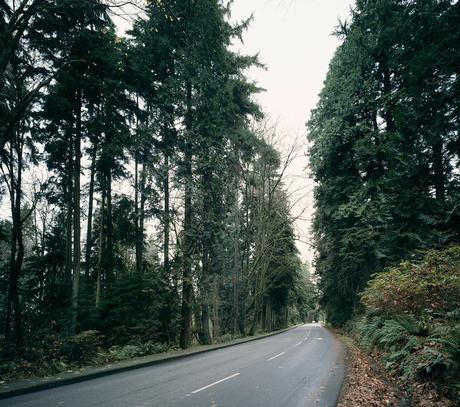 Jeff Wall la photographie mise en scène jeff wall, photography, staged photography, cinematographic photography, canada, photographe canadien, landscape, auction