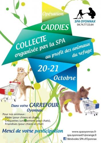 animaux,secours aux animaux,spa,société protectrice des animaux,blog littéraire de christian cottet-emard,opération caddies,oyonnax,ain,rhône-alpes auvergne,christian cottet-emard,carrefour oyonnax,refuge spa