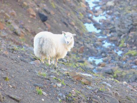 ISLANDE - Le Trek du Laugavegur en 4 jours ISLANDE - Le Trek du Laugavegur en 4 jours