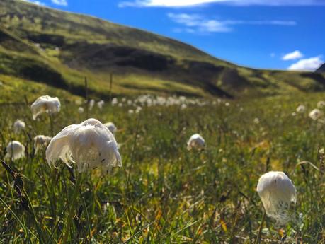 ISLANDE - Le Trek du Laugavegur en 4 jours ISLANDE - Le Trek du Laugavegur en 4 jours