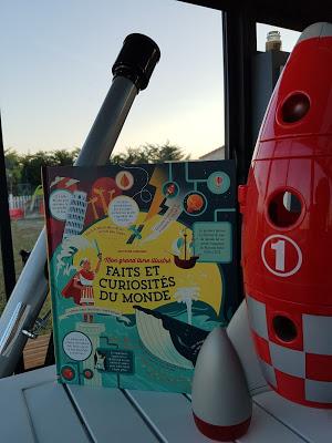 Faits et curiosités du monde - Le monde des mots ♥ ♥ ♥ : Nouveautés Collection Mon grand livre illustré Faits et curiosités du monde - Le monde des mots ♥ ♥ ♥ : Nouveautés Collection Mon grand livre illustré