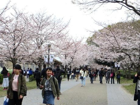Voyage au Japon : une balade à Osaka Voyage au Japon : une balade à Osaka