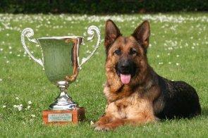 Course de l’Espace à Schiltigheim: UN TROPHÉE À LA TAILLE DE L’ANIMAL Course de l’Espace ŕ Schiltigheim: UN TROPHÉE Ŕ LA TAILLE DE L’ANIMAL