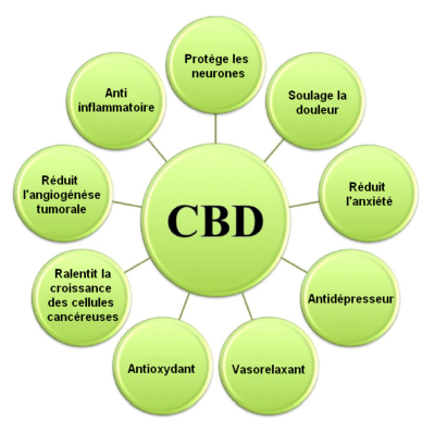 Chanvre médicinal et CDB Chanvre médicinal et CDB