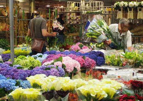 Visite entreprise – Immersion dans le Marché International de Rungis MIN Rungis pavillon des fleurs et plantes