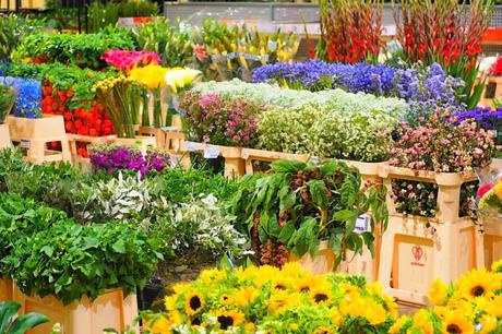 Visite entreprise – Immersion dans le Marché International de Rungis MIN de Rungis visite du pavillon des fleurs