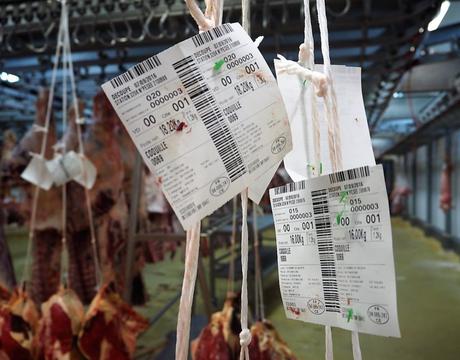 Visite entreprise – Immersion dans le Marché International de Rungis MIN de Rungis Marché de la viande