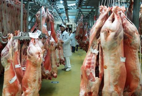 Visite entreprise – Immersion dans le Marché International de Rungis MIN de Rungis Grossiste viandes