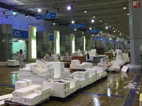 Visite entreprise – Immersion dans le Marché International de Rungis MIN Pavillon de la Marée poissons