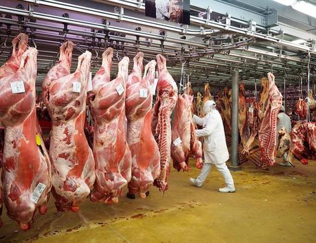 Visite entreprise – Immersion dans le Marché International de Rungis MIN Rungis pavillon de la viande