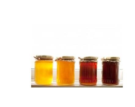 PESTICIDES : 75% des miels sont contaminés