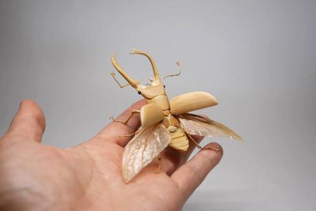 Insectes en bambou par Noriyuki Saitoh