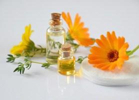 Le calendula: solution miracle ? Le calendula: solution miracle ?