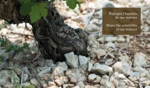 L’histoire de Joseph Mellot L’histoire de Joseph Mellot