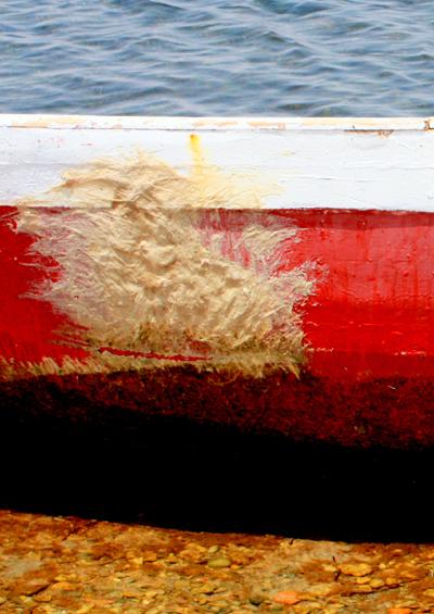 «Ce qui se dit d’important avec une photo n’est pas forcément dans l’importance de ce qu’elle montre». Alain BERGALA