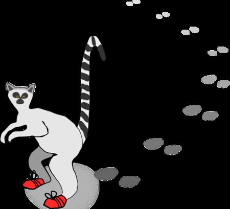 Un lémurien se baladait sur une toile... nonlemurien