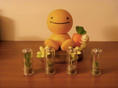 3 babytrees et 1 mort-vivant