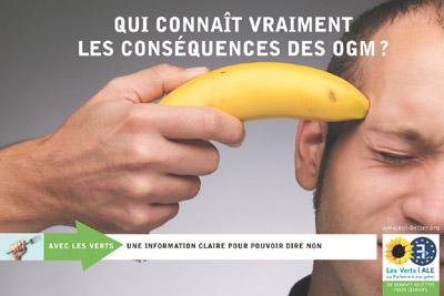 banane OGM