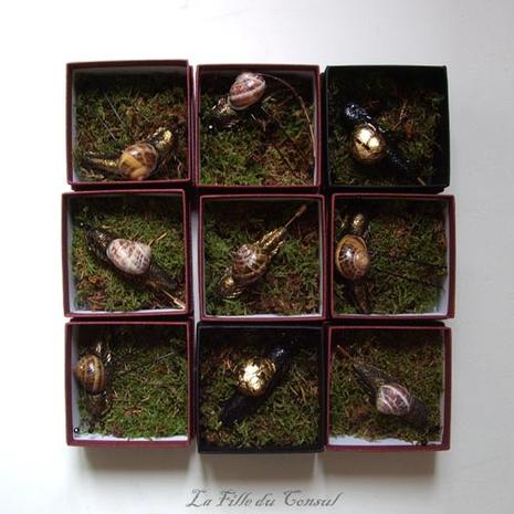 Pluie d'été - Summer rain Escargots