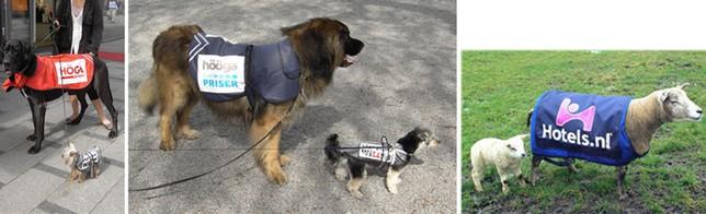 12 outils pour faire connaitre un commerce ou une petite entreprise – Partie 1 dog sandwich