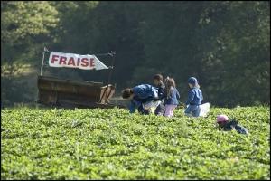 Les Champs “libre-service”
