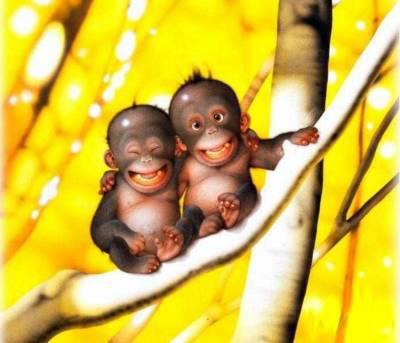 A posteriori ? Une soirée riche en émotions m7wlpyvr1.jpg