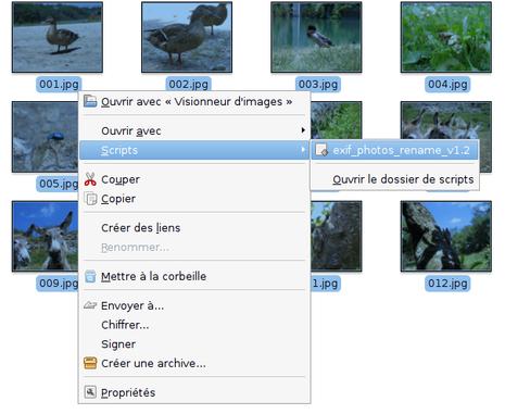 exif_photos_rename_v1.2_01.png, juil 2008 exif_photos_rename_v1.2_01.png