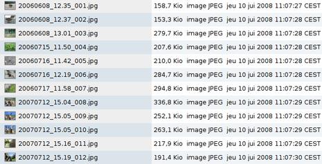 exif_photos_rename_v1.2_06.png, juil 2008 exif_photos_rename_v1.2_06.png