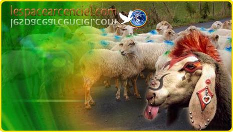 Résistance ! moutons-resistance.jpg