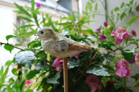 Pique-nique blogo à Paris !! zozio