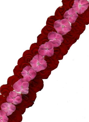 Hortensia voyageur Hortensia voyageur