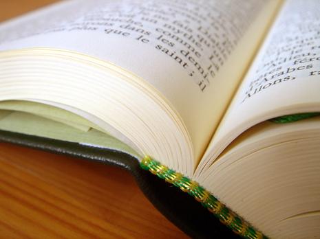 Les Français « détestent la liberté » (Flaubert) flaubert-pleiade-cul.1215765157.jpg