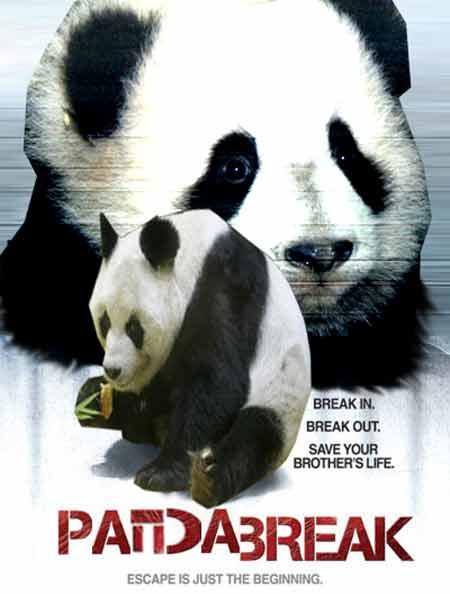 Panda Break