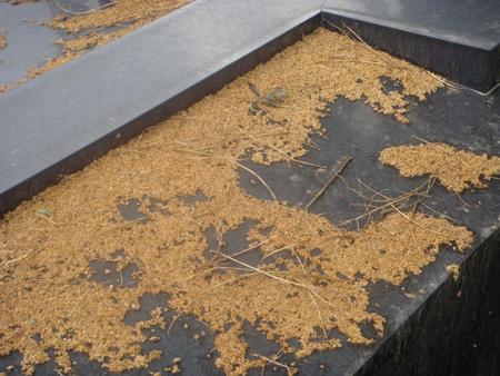 La Mère LeTabouret Cimetière du Père LaChaise