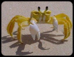 Crabe farci à l'antillaise