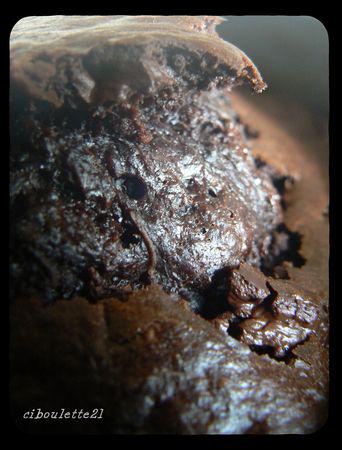 Gâteau chocolat et courgette zucchini