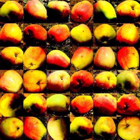 « Je suis le primitif d’un nouvel art ». Paul CEZANNE