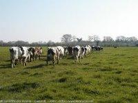 Les imaginaires ont leurs parfums