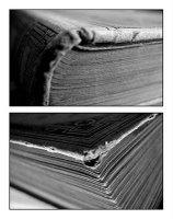 Les imaginaires ont leurs parfums