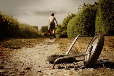 Une sélection de très belles photos!