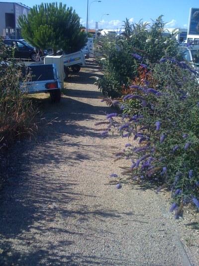 Angoulins - La zone commerciale n'est pas adaptée aux piétons