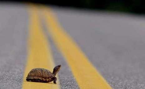 Qui a vu le jeune sauveur ? large_451529