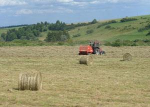 Faire les foins dans le Sancy