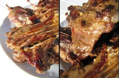 Muxu gourmand de l'été n°1 : le canard