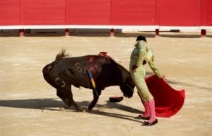 Une tribune surchargée s’écroule en pleine corrida (+ vidéo) corrida