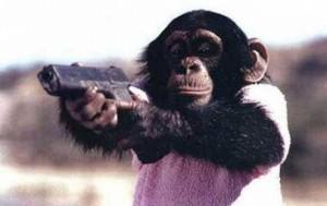 Un chimpanzé s’échappe d’un zoo et désarme un des hommes lancé à sa poursuite