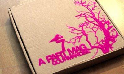 lapin vole en low coast…