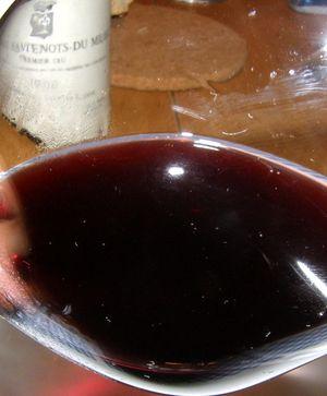 copie-de-p5300031